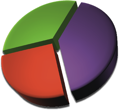 Visitor Demographics